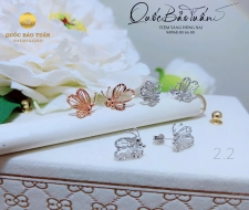 Bông hình bướm 2g2