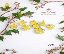 Bông tai hoa mai BT-004