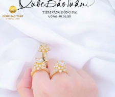 Nhẫn hột chủ 1c0