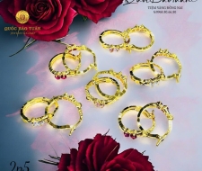 Bông khoen tròn 2 hột