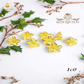Bông tai hoa mai BT-004