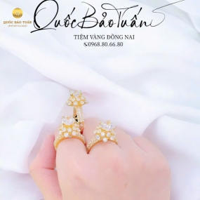 Nhẫn hột chủ 1c0